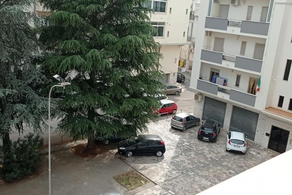 Appartamento Terrazza Bella Vista Cisternino Zewnętrze zdjęcie